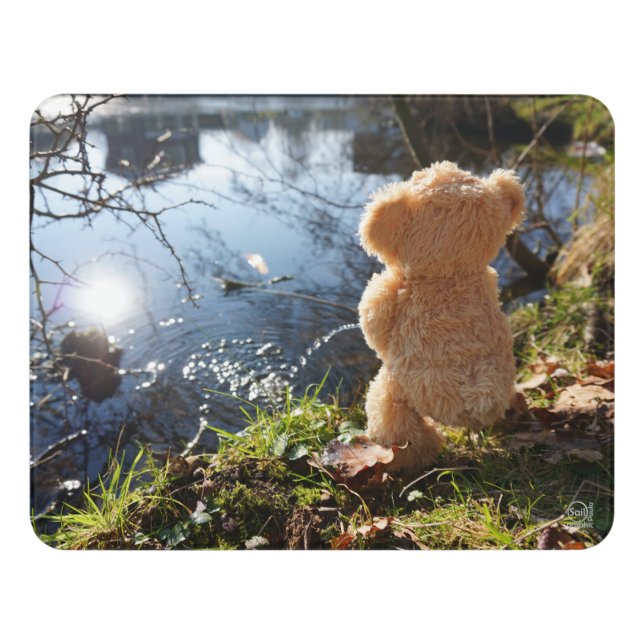 It's a funny bear who's teasing. door sign (Contemporary Front)