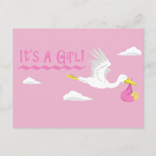 It's a Girl! Announcement Postcard