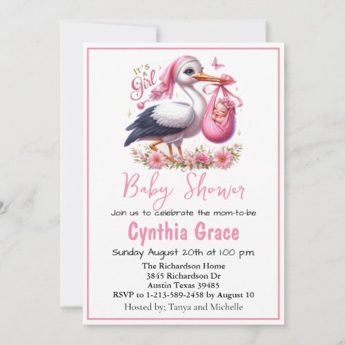 Its a Girl Cute Stork with Baby Girl and Flowers Holiday Card