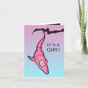 it's a girl! (dolphin cocoon) announcement