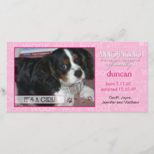 It's a Girl - Pet Photo Card