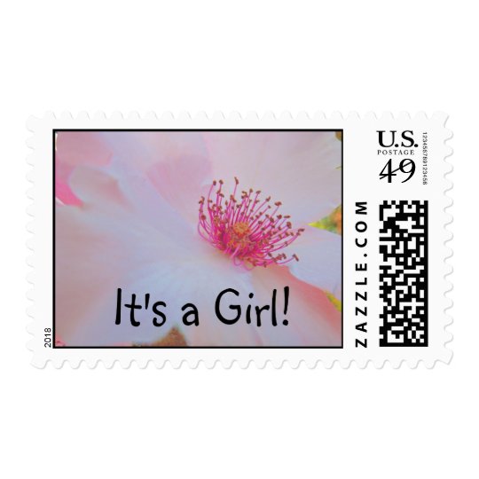 It's a Girl! stamps Pink Rose Flower postage Cards