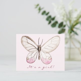 It's a girl! Sweet Blush Butterfly Postcard
