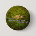 It's a groundhog day miracle! button