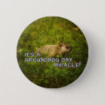 It's a groundhog day miracle! button