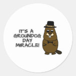 It's a groundhog day miracle classic round sticker