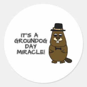 It's a groundhog day miracle classic round sticker