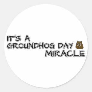 It's a groundhog day miracle classic round sticker