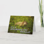 It's a groundhog day miracle! greeting card