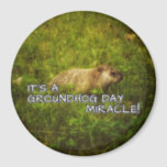 It's a groundhog day miracle magnet