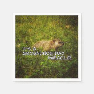 It's a groundhog day miracle napkins