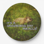 It's a groundhog day miracle plates