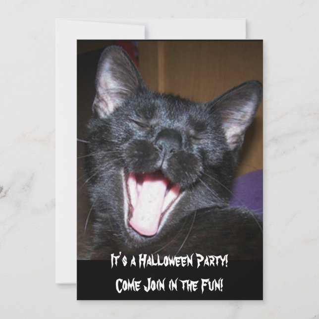 It's a Halloween Party Cat Invitation (Front)