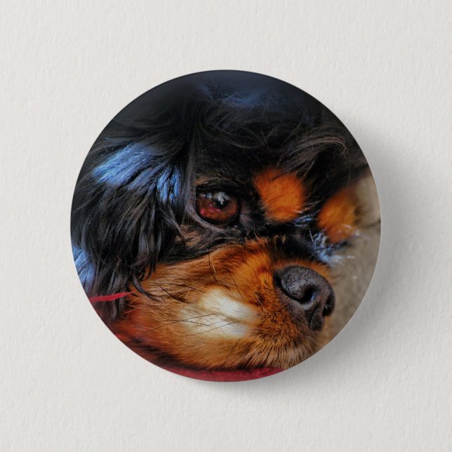 IT'S A HARD LIFE....... BUTTON (Front)