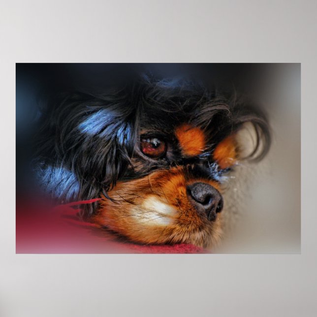 It's a hard life.... poster (Front)