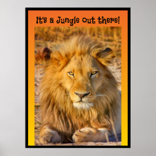 It's a Jungle out there! Poster