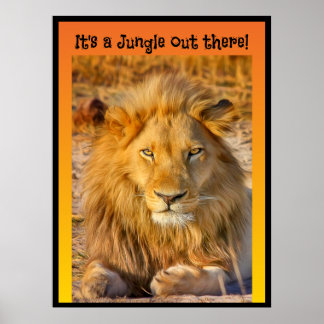 It's a Jungle out there! Poster