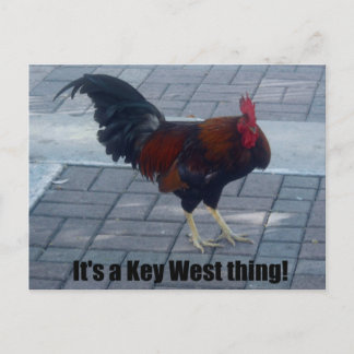 It's a Key West thing! Postcard