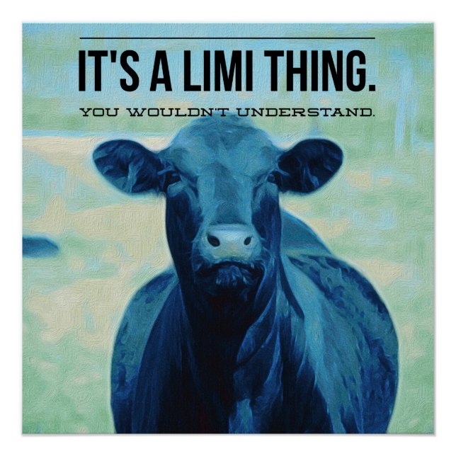 It's a Limousin Thing You Wouldnt Understand Poster (Front)