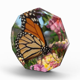 It's A New Day (Monarch Butterfly) Acrylic Award