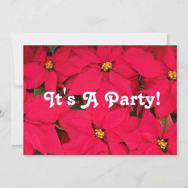 It's a Party Poinsettias Invitation (Front)