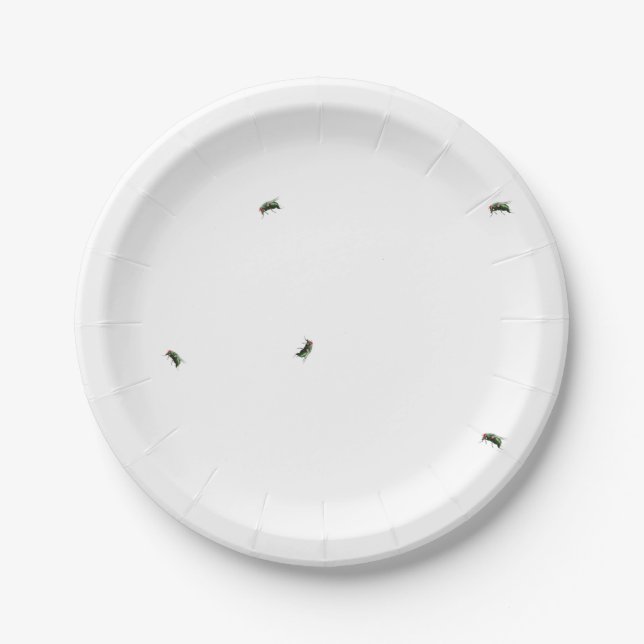 It's A Picnic, There's Gonna Be Flies Paper Plates (Front)