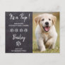 It's a Pup New Pet Puppy Dog Announcement Postcard