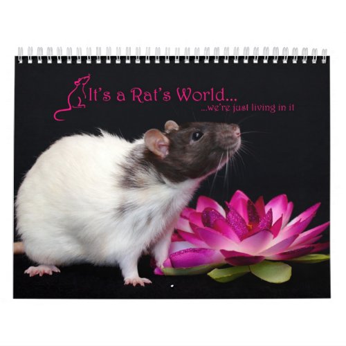 Its a Rat World Calendar 2016
