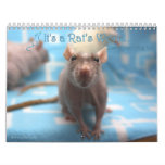It&#39;s A Rat World Calendar 2016 at Zazzle