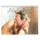 It&#39;s A Rat&#39;s World Calendar at Zazzle