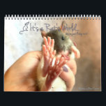 It's a Rat's World Calendar<br><div class="desc">Another new year of cover photos from It's a Rat's World magazine. Bring in each month with cutie ratties!</div>