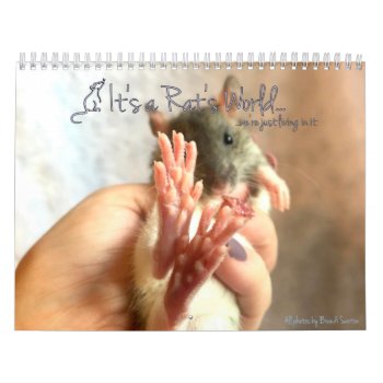 It's A Rat's World Calendar by itsaratsworld at Zazzle
