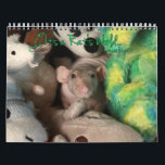 It's a Rat's World Calendar<br><div class="desc">Celebrate each month with adorable rats from the cover of It's a Rat's World Magazine.</div>