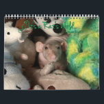 It's a Rat's World Calendar<br><div class="desc">Celebrate each month with adorable rats from the cover of It's a Rat's World Magazine.</div>