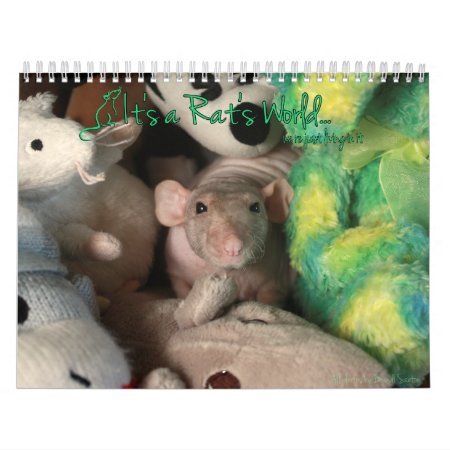It's A Rat's World Calendar