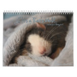 It&#39;s A Rat&#39;s World Calendar at Zazzle