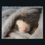 It's a Rat's World Calendar<br><div class="desc">Another new year of rats from It's a Rat's World magazine. Bring in each month with cutie rats!</div>