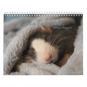 It's a Rat's World Calendar