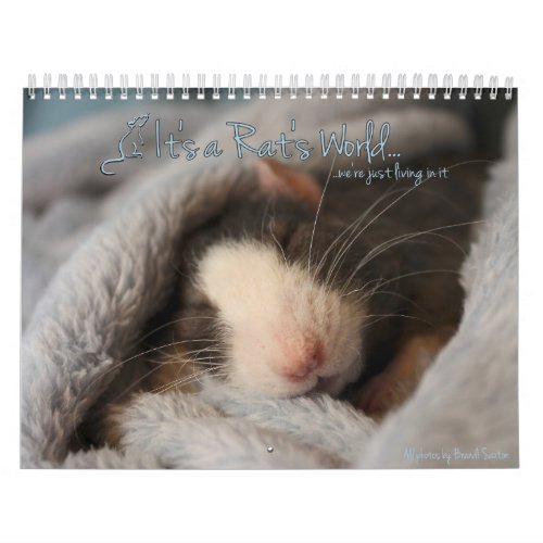 Its a Rats World Calendar
