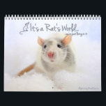 It's a Rat's World Calendar<br><div class="desc">Another new year of adorable rat models from It's a Rat's World magazine. Bring in each month with with these precious little creatures!</div>
