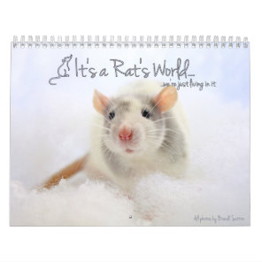 It's a Rat's World Calendar