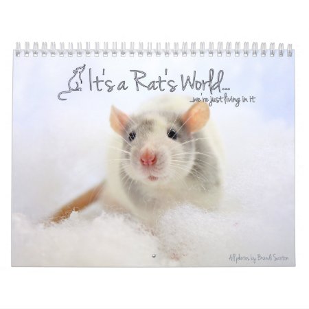 It's A Rat's World Calendar