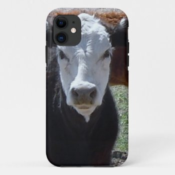 It's A Roundup! Black White Cattle Cow Calf Calves Iphone 11 Case by She_Wolf_Medicine at Zazzle