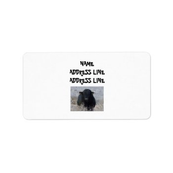It's A Roundup! Cattle - Bull Return Address Label by She_Wolf_Medicine at Zazzle