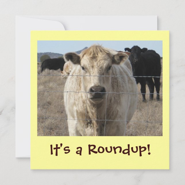 It's a Roundup! Cattle Drive Celebration Invitation (Front)