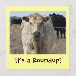 It's a Roundup! Cattle Drive Celebration Invitation