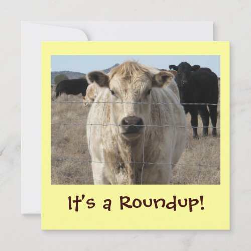 Its a Roundup Cattle Drive Celebration Invitation