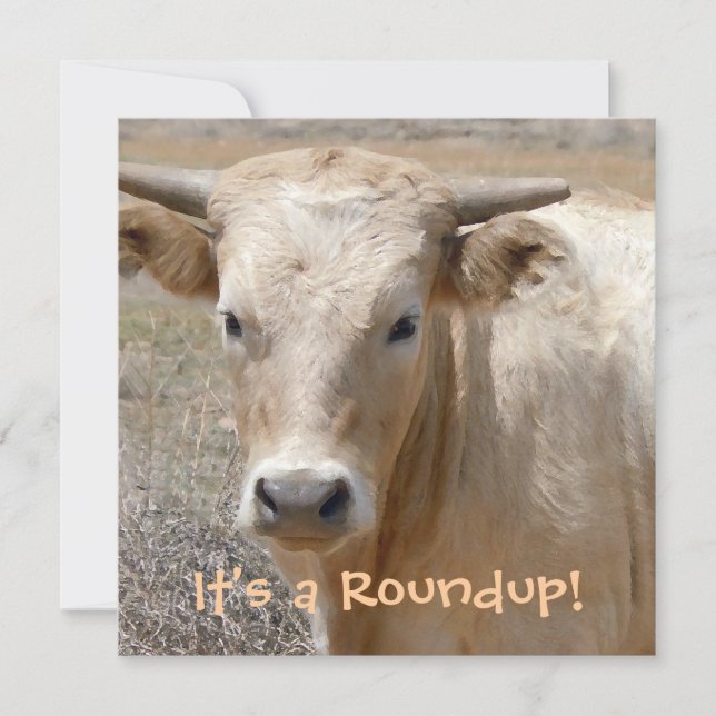 It's a Roundup! Cattle - Western Style Celebration Invitation (Front)