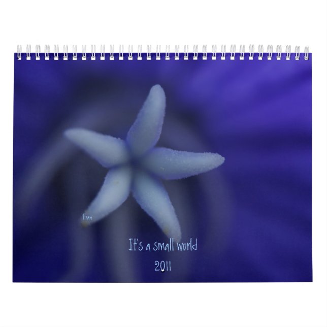 It's a small world calendar (Cover)