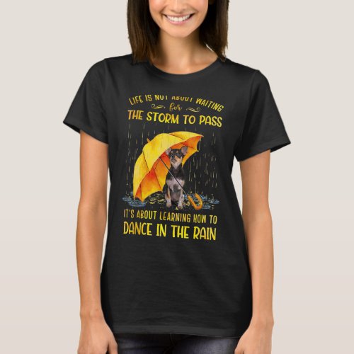 Its About Learning How To Dance In The Rain Chihu T_Shirt